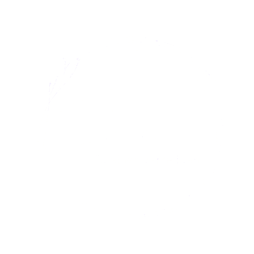 Mi tienda